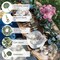 Citrus; Eucalyptus Garland 6.56 Ft Lush Silver Dollar Leaves Boxwood Artificial Faux Greenery Vines for Baby Shower Wedding Party Table Runner Room Home Mantle Decor; Category:Spring Greenery Garlands; Image:3